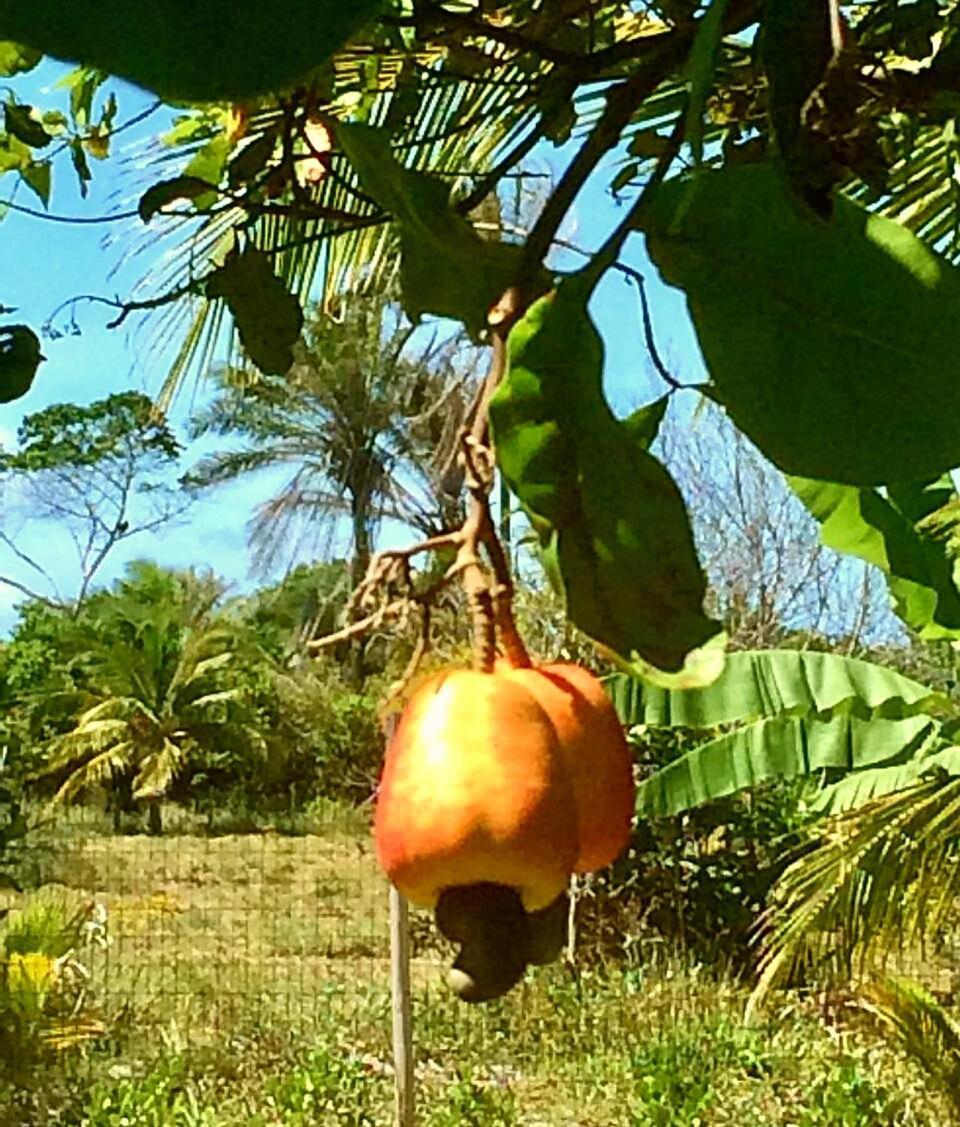 Casa Ohana Barra Grande  Kültér fotó
